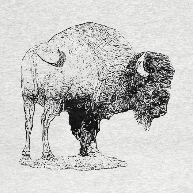 Bison by Guardi